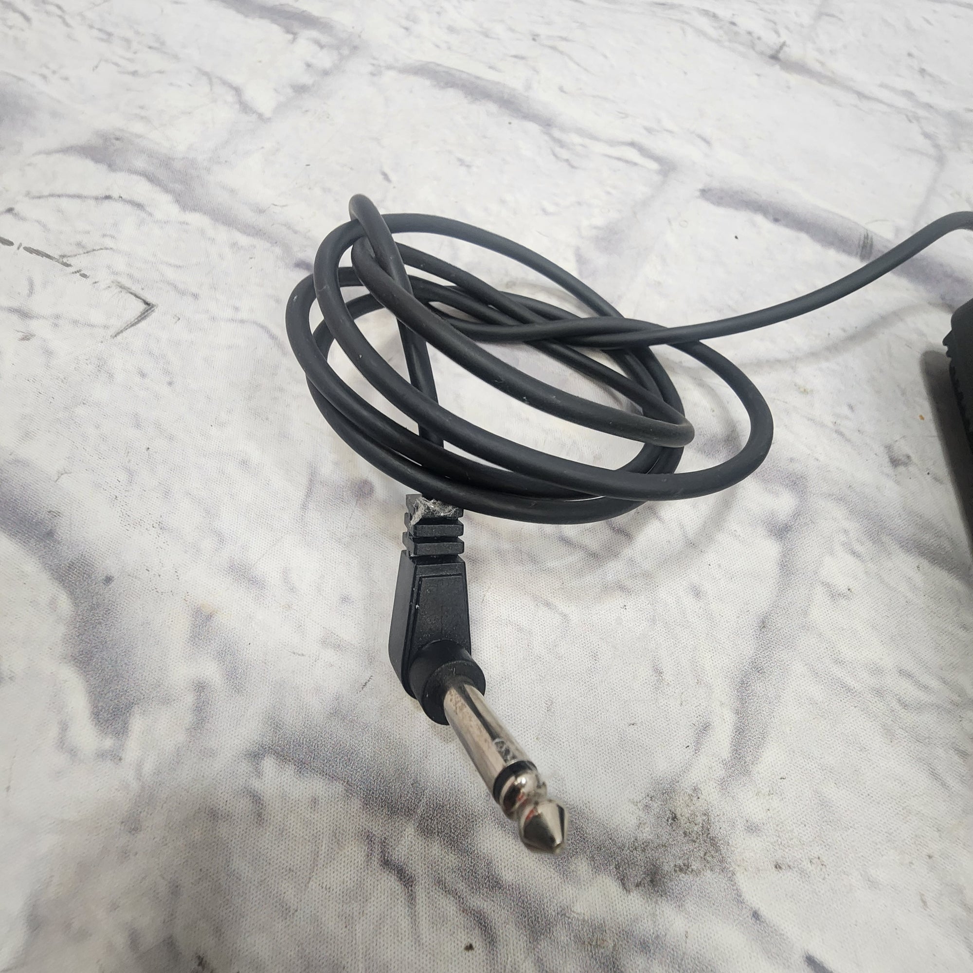 Roland Sustain Pedal