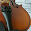 Ametto CA-100 12'' Viola Outfit  C24418