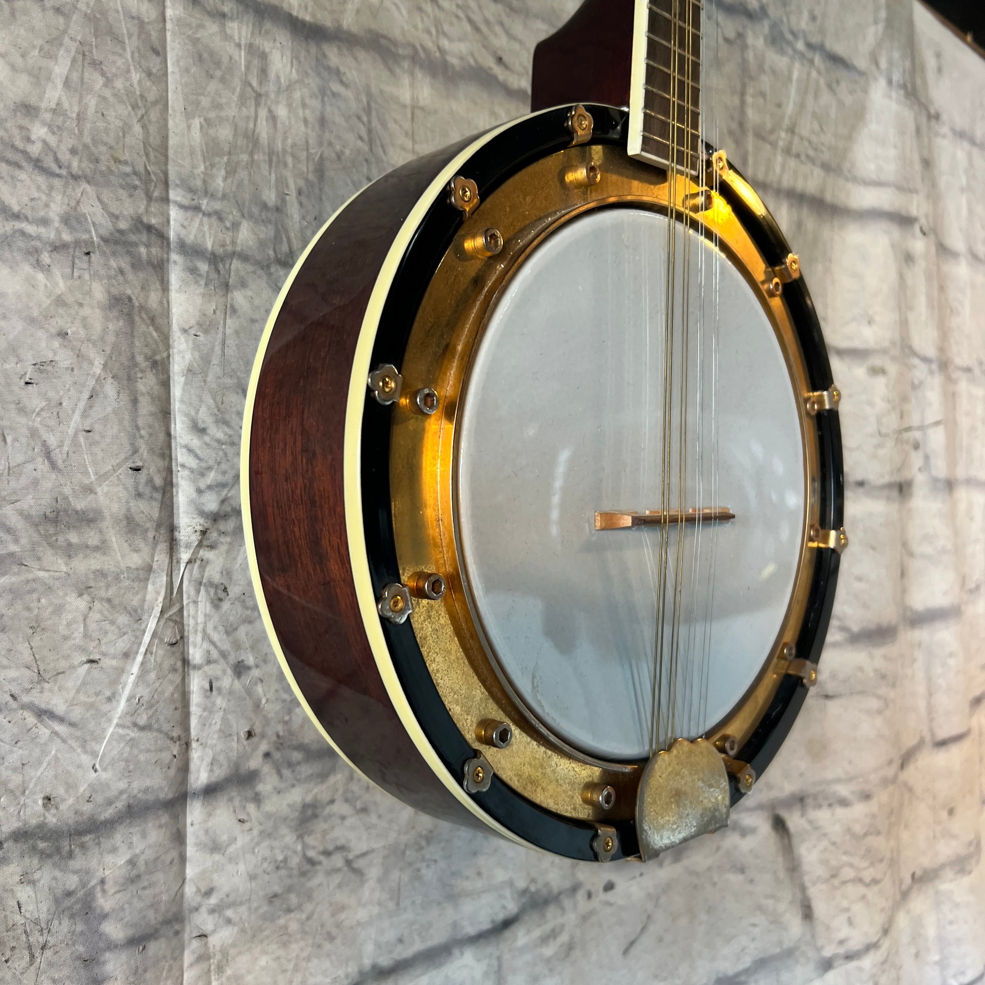 Rogue Banjolin Banjo - Mandolin Hybrid