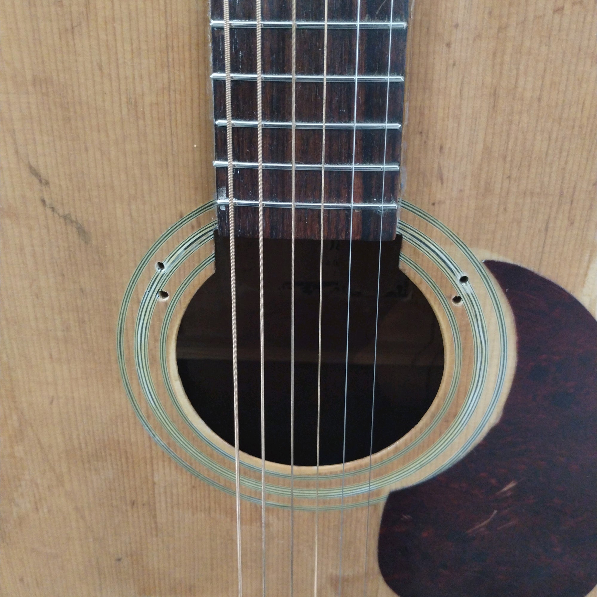 Sakura SW 63 (w/ Electric mod) Acoustic Guitar