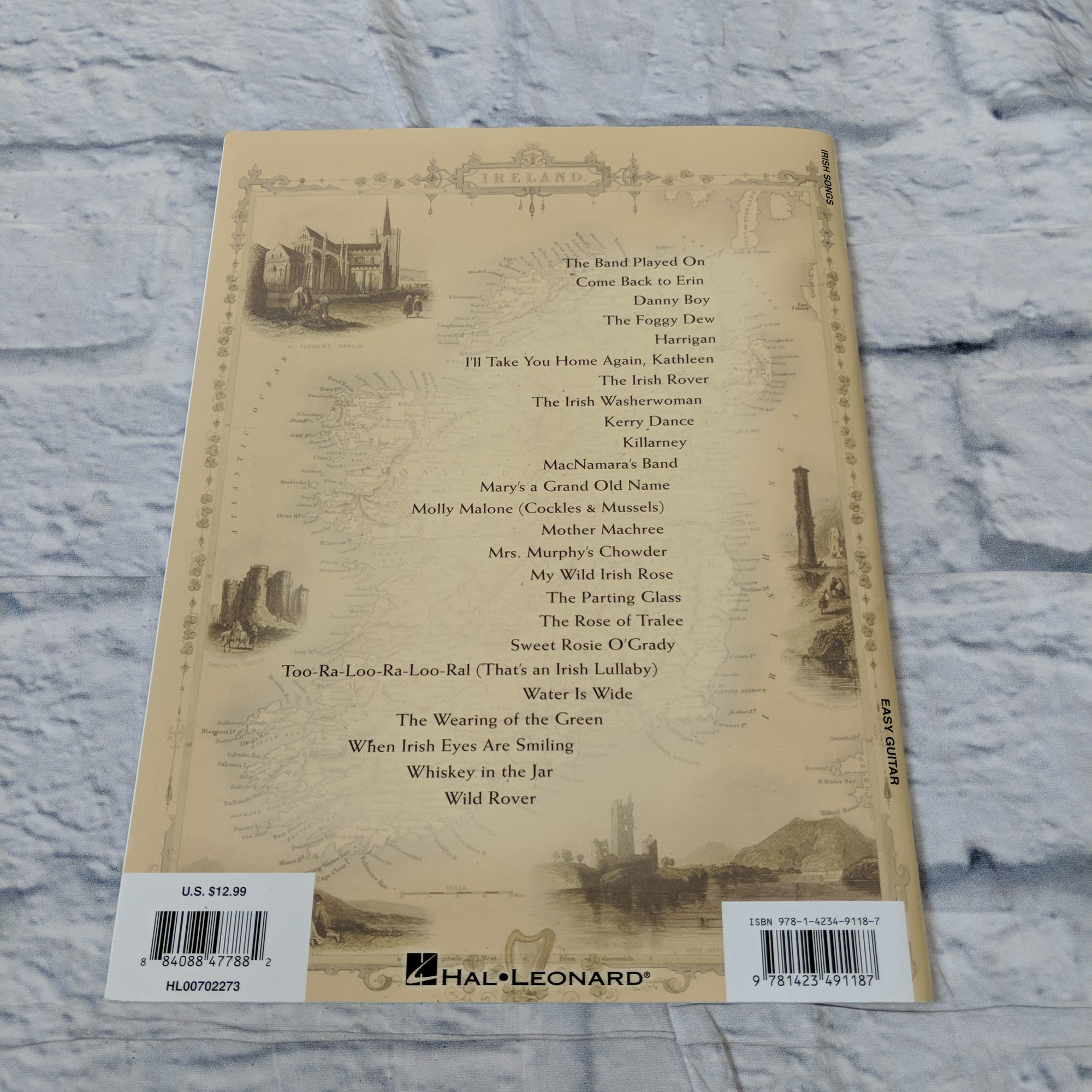 Hal Leonard Irish Songs For Easy Guitar (With Tab)