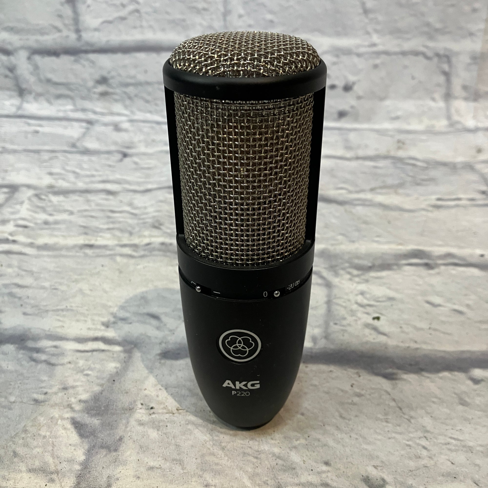 AKG P220 Large Diaphragm Condenser Microphone