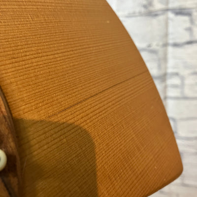 Martin The Backpacker Guitar w/ bag - Travel Guitar