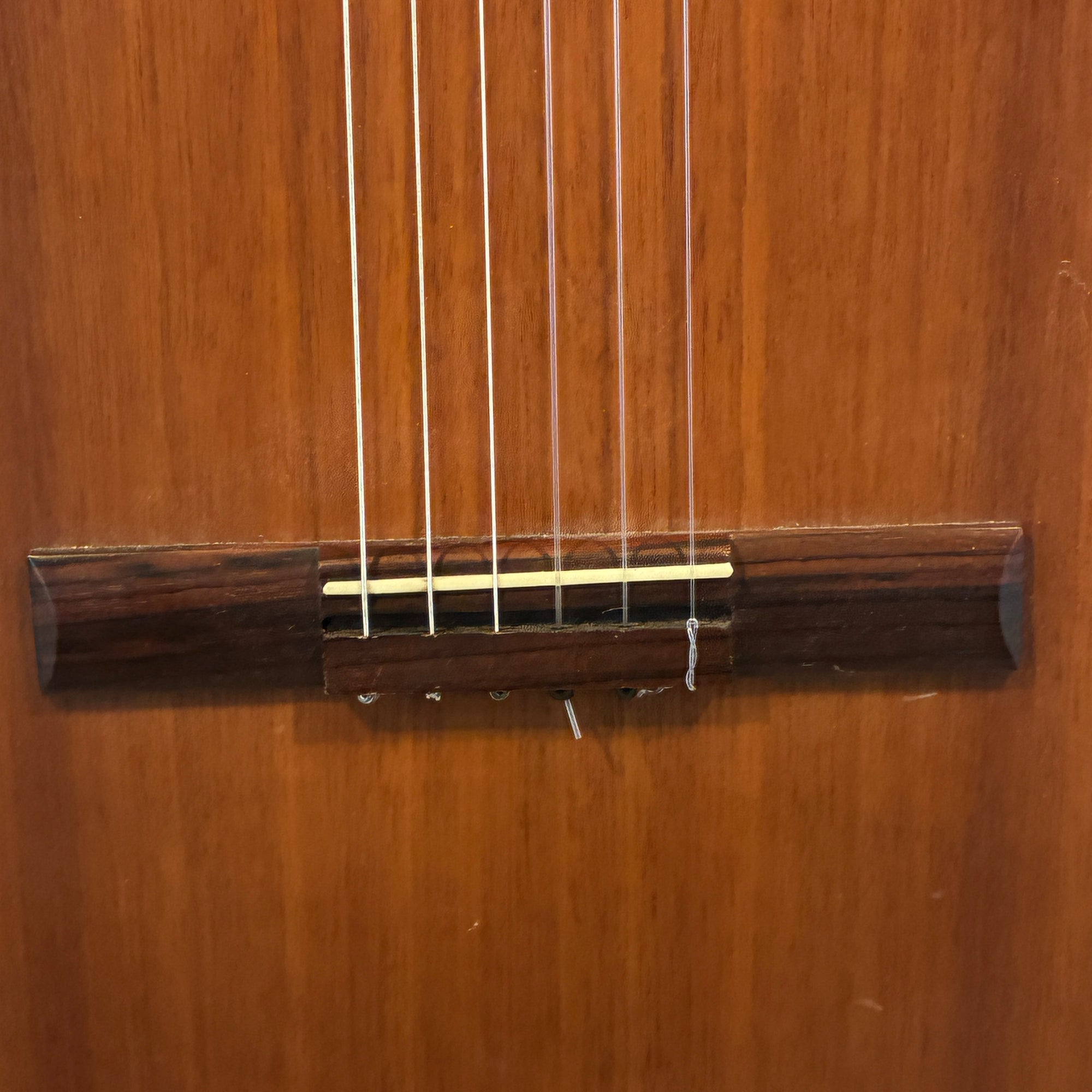 Vantek VIC-1 Classical Acoustic Guitar