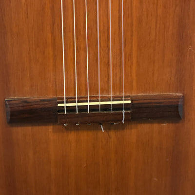 Vantek VIC-1 Classical Acoustic Guitar