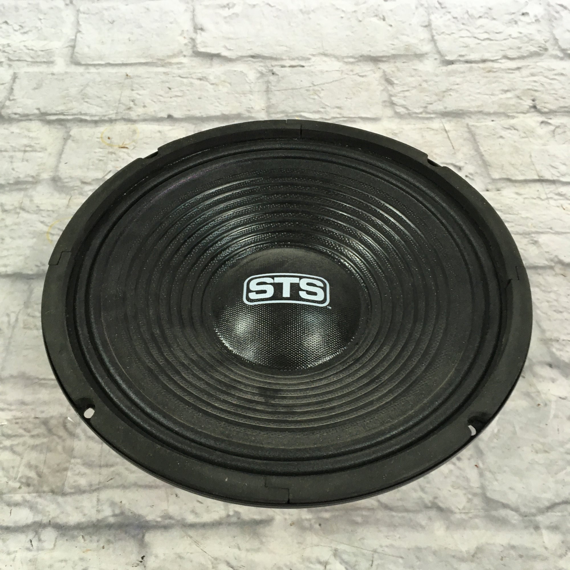 STS 10 Live Sound Speaker