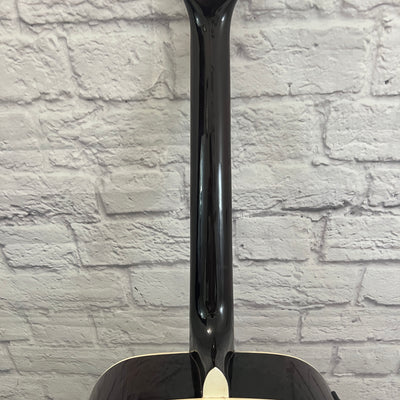 Esteban AL-100 Acoustic Guitar