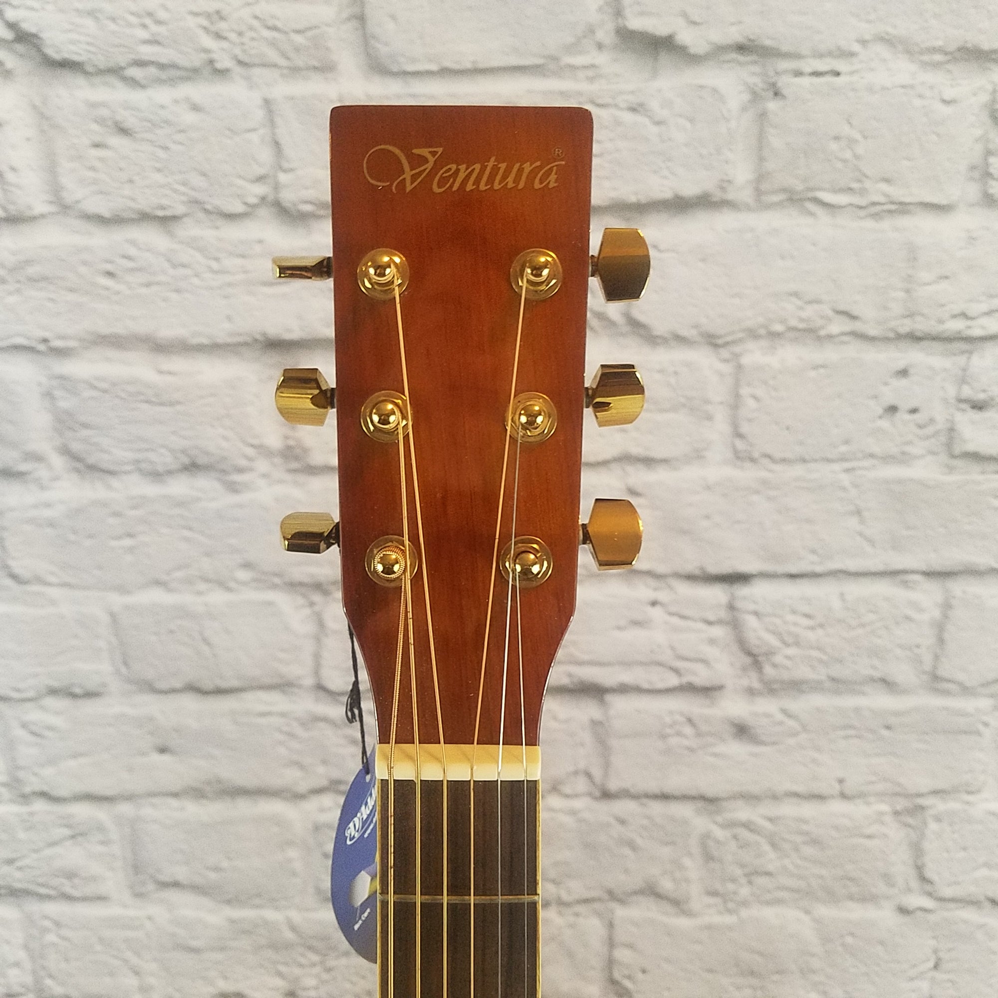 Ventura VWD5 NAT Acoustic Guitar