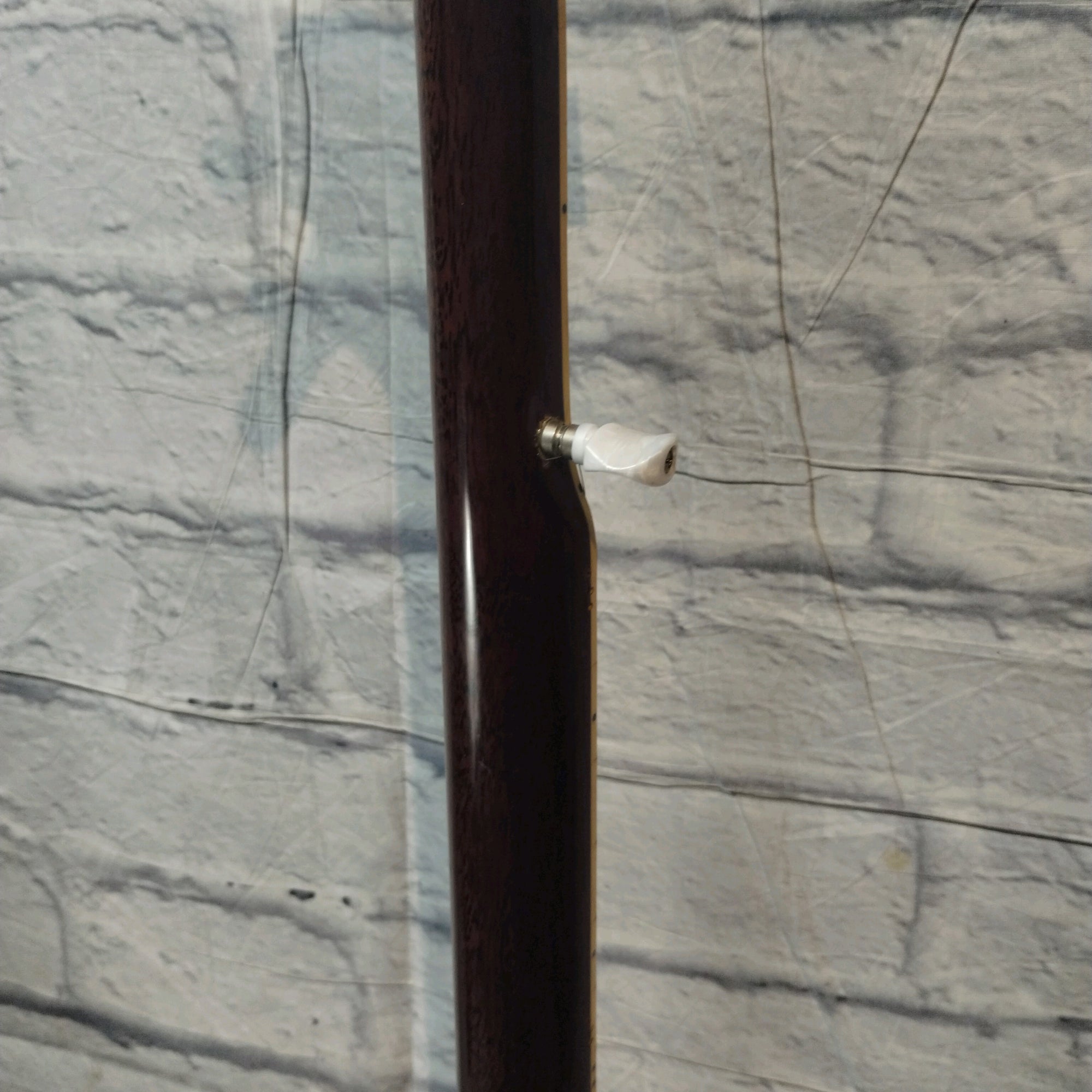Vintage Antares ABJ-183 Banjo