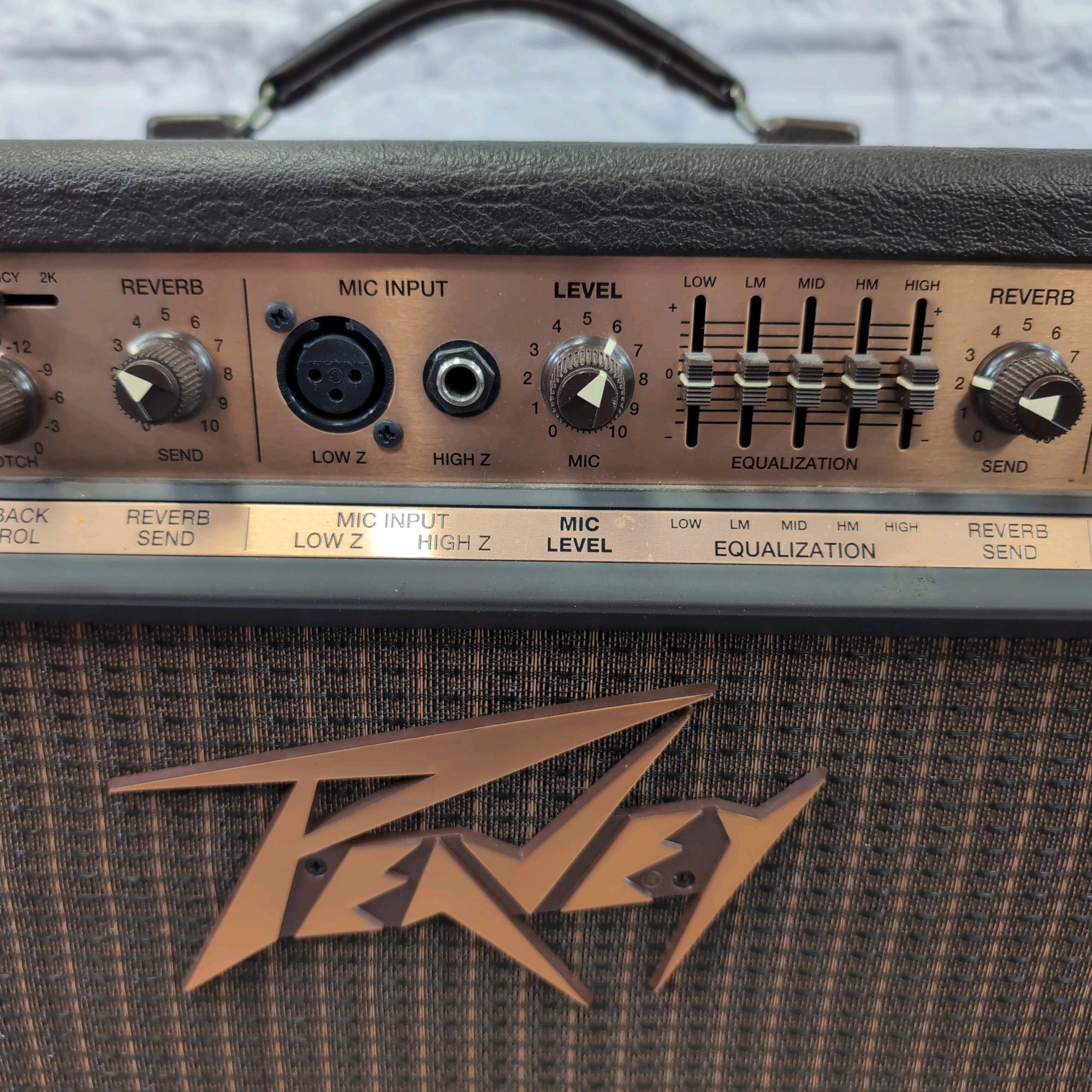 Peavey Ecoustic 112 Acoustic Guitar Combo Amp