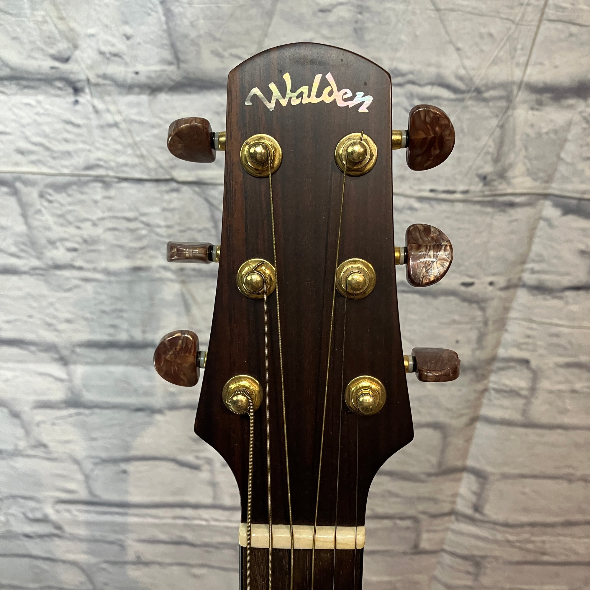 Walden Supranatura D2040 Acoustic Guitar w/ case