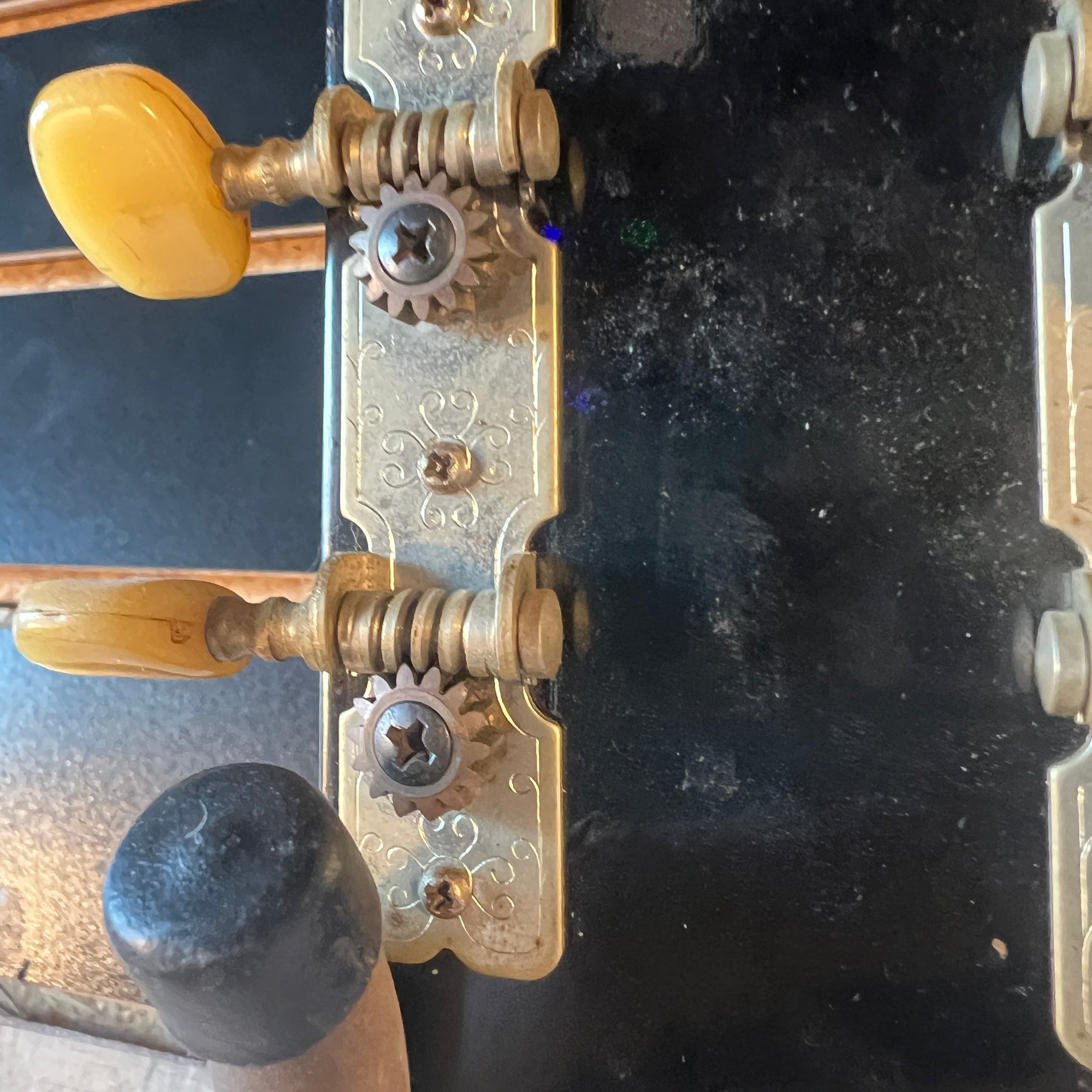 Ensenada 14 Fret Acoustic Guitar Concert Acoustic