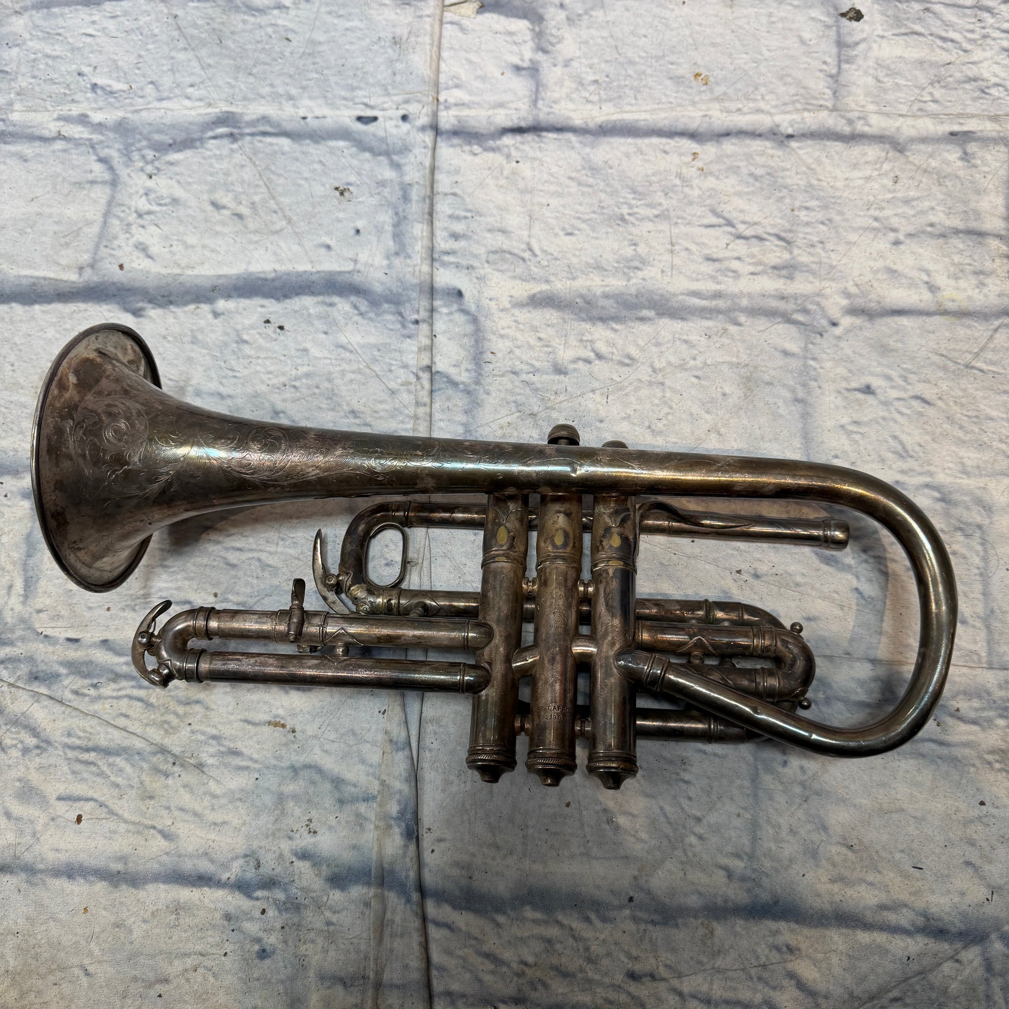 Antique C.G. Conn Perfected Wonder Cornet