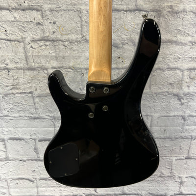 Washburn Bantam Bass Modded Bartolinis with Case