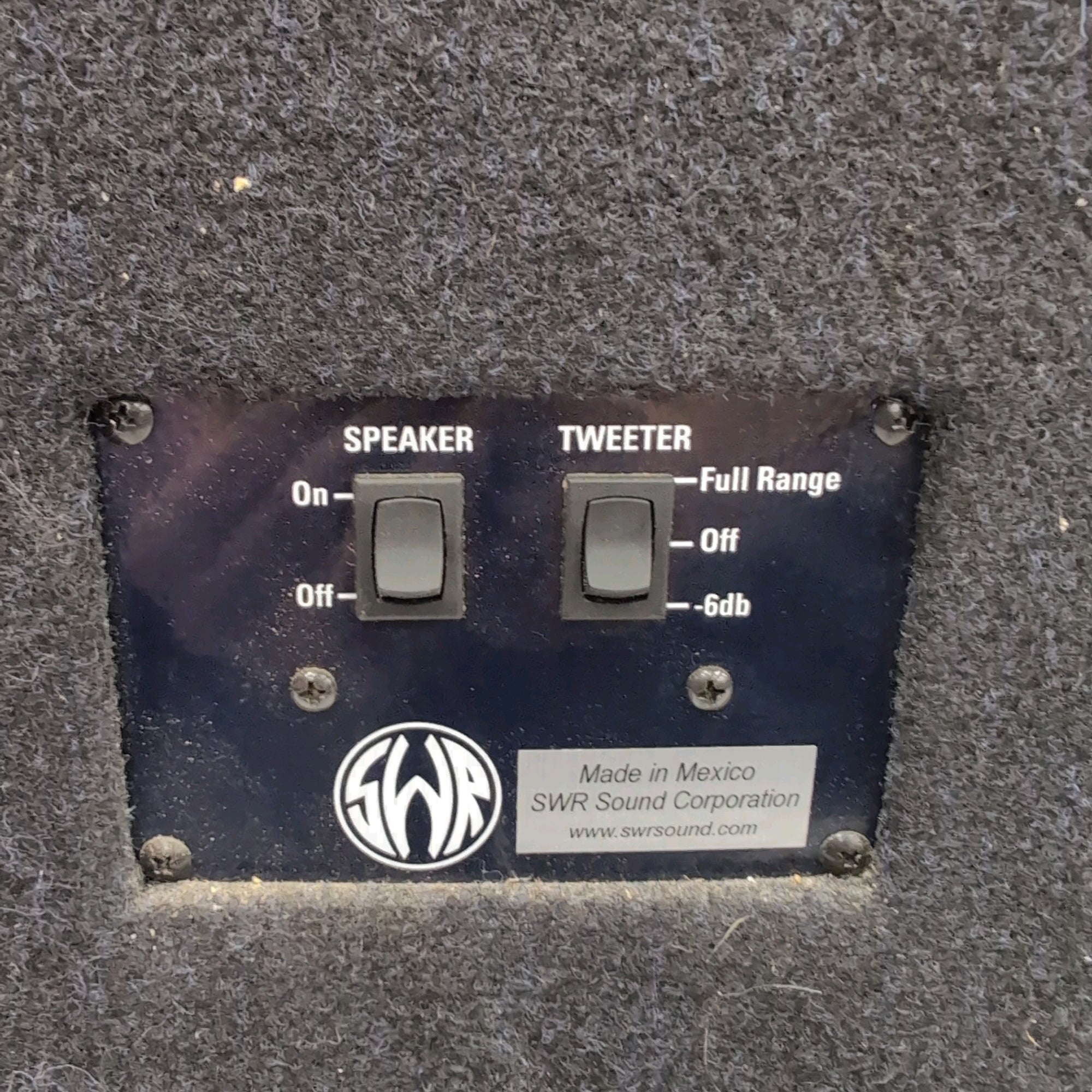 SWR 2x10C Bass Combo Amp