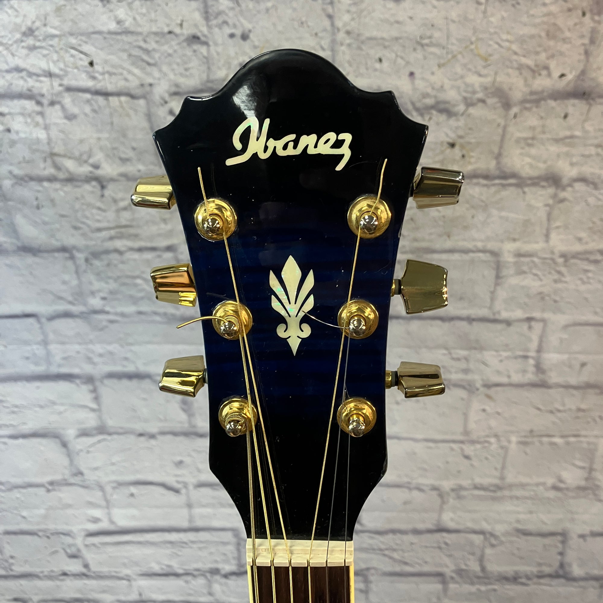 Ibanez AEL20E Blue ElectroAcoustic Guitar