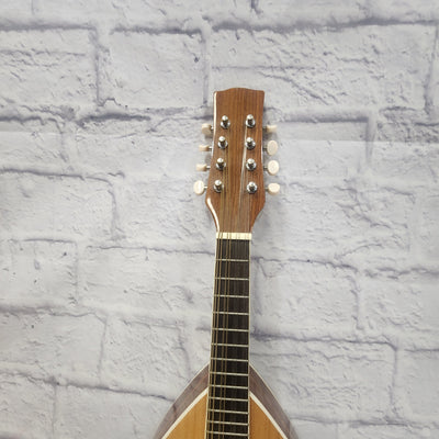 Unknown Vintage European Mandolin