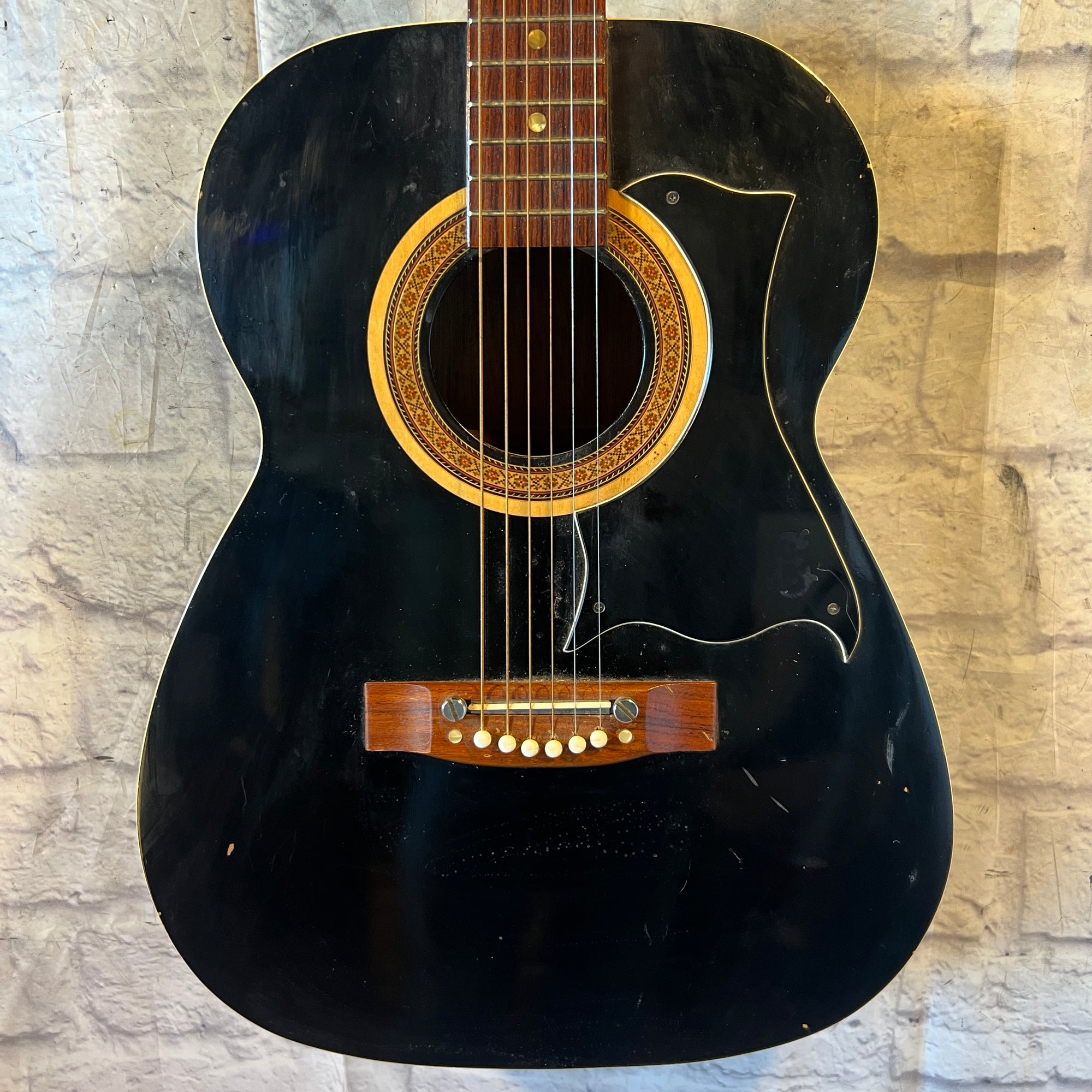 Ensenada 14 Fret Acoustic Guitar Concert Acoustic