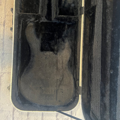 Lakland Bass  Molded Hard Case
