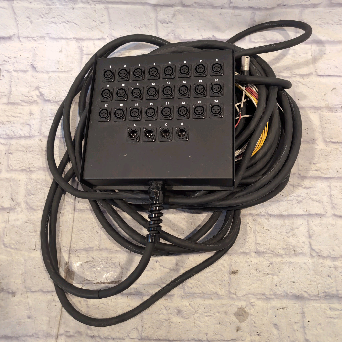 Livewire Advantage 24x4 Snake With XLR Returns 100 ft. Black