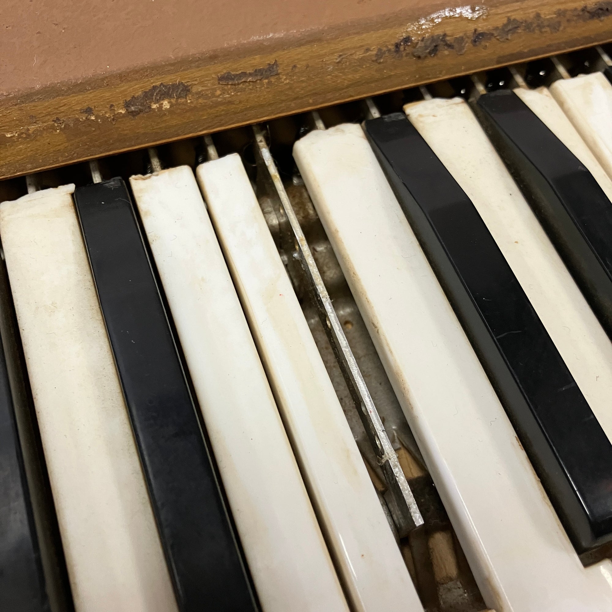 Lo Duca Vintage Wooden Reed Chord Organ