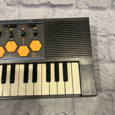 Casio MT-500 49-Key Electronic Keyboard