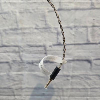 ZS N Pro (Black) In- Ear Headphones