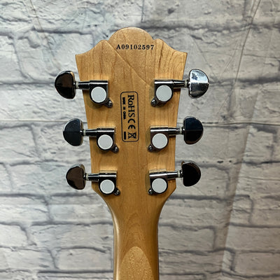 Washburn WI14 Electric Guitar w/ Gig Bag