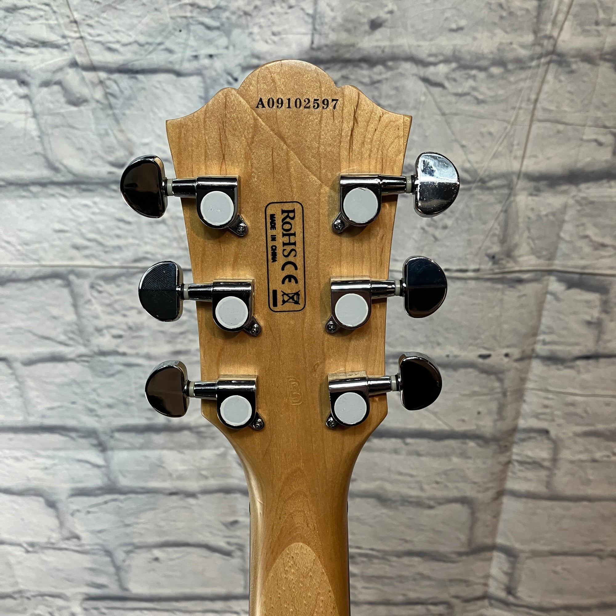 Washburn WI14 Electric Guitar w/ Gig Bag