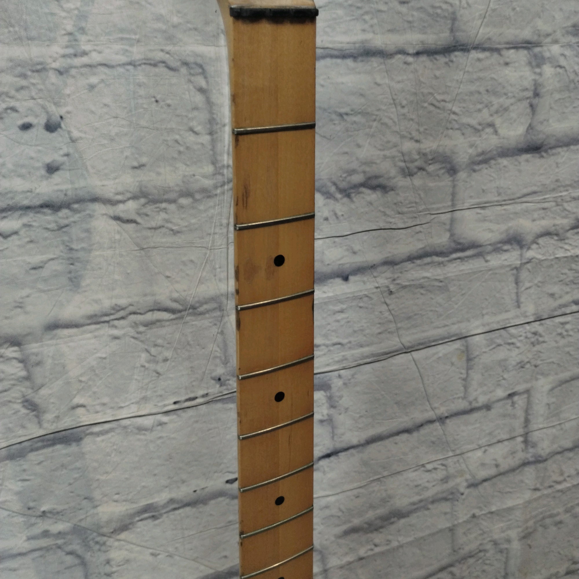 Peavey Fury Bass Husk