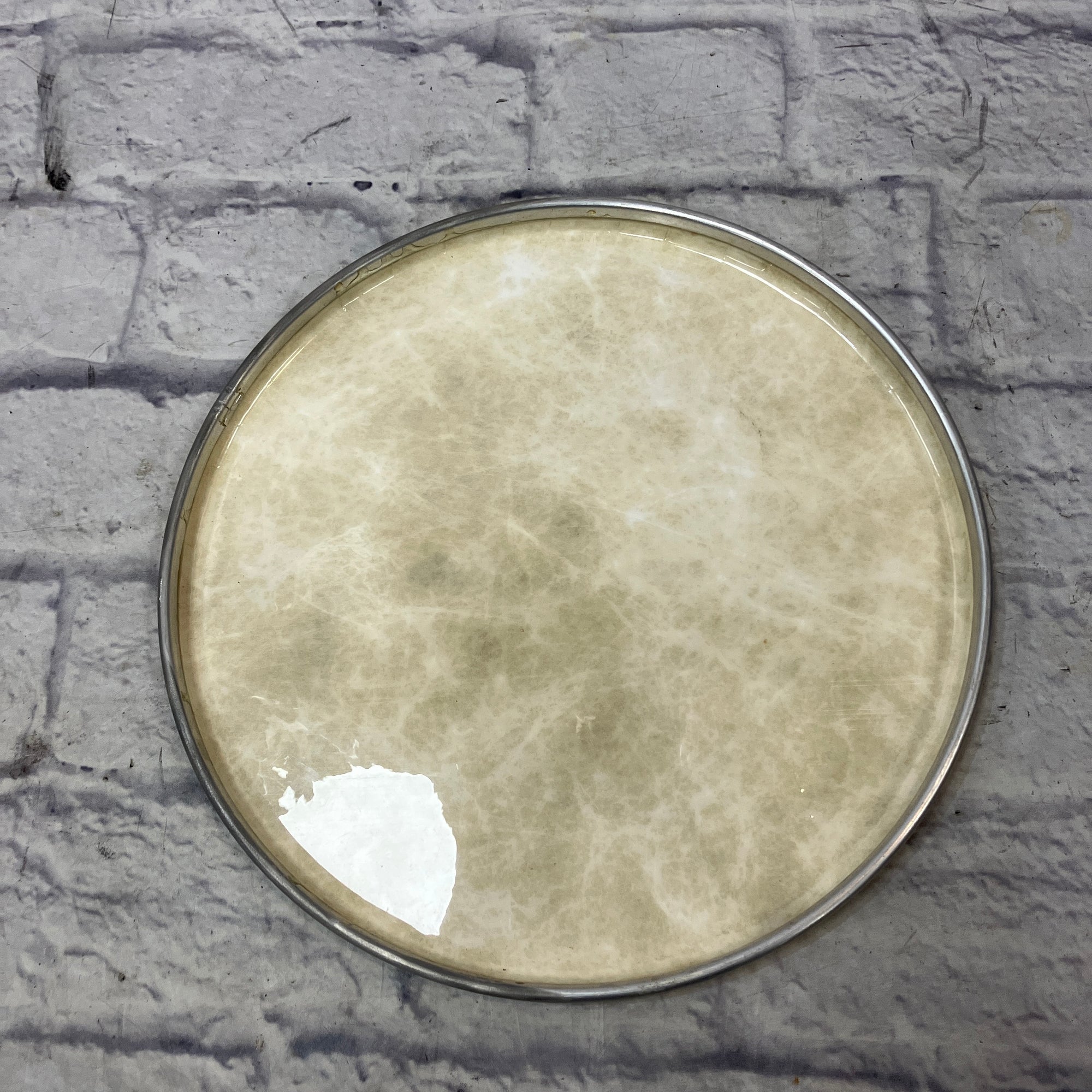 Remo 13 Inch Drum Head Drum Head