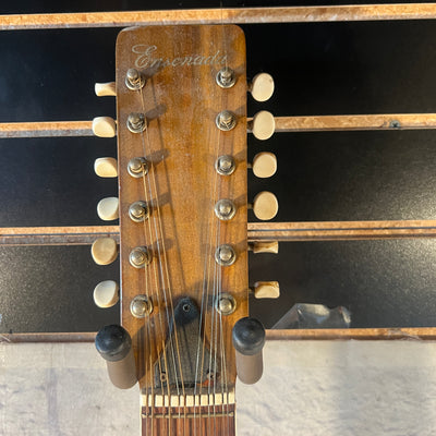 Ensenada GT30 12 String Acoustic Guitar