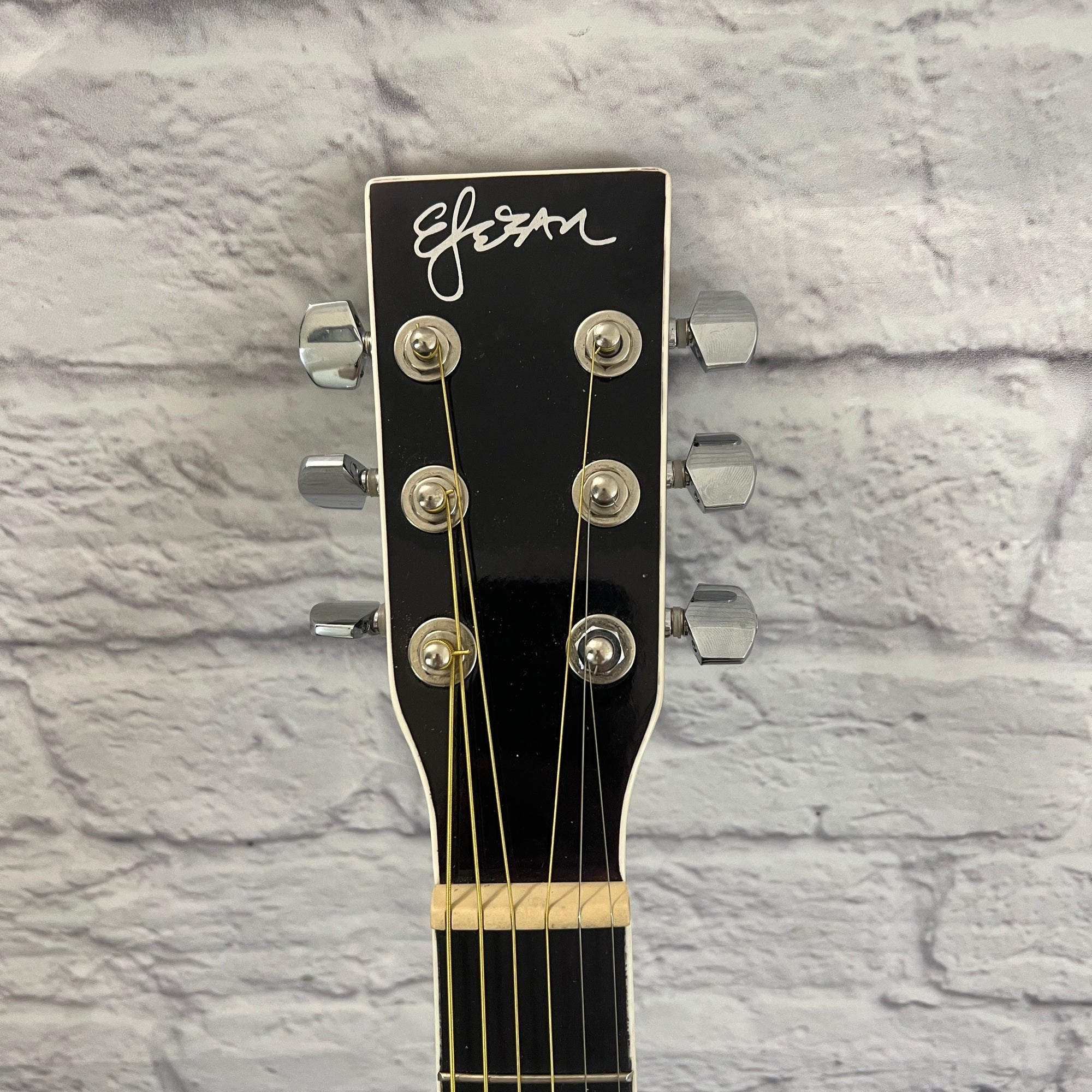 Esteban AL-100 Acoustic Guitar