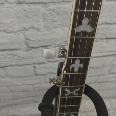Tyler Mountain TM-700 Banjo W/Case