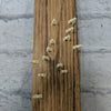 Unknown 13-String Travel Sized Student Koto