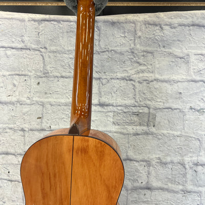 Squier SP-1 Parlor Acoustic Guitar