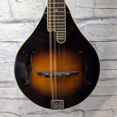 The Loar LM-220-VS Mandolin With Case