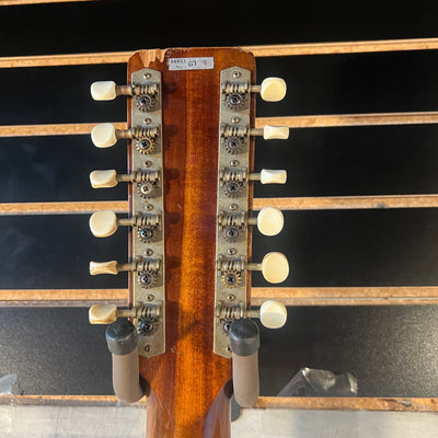 Ensenada GT30 12 String Acoustic Guitar