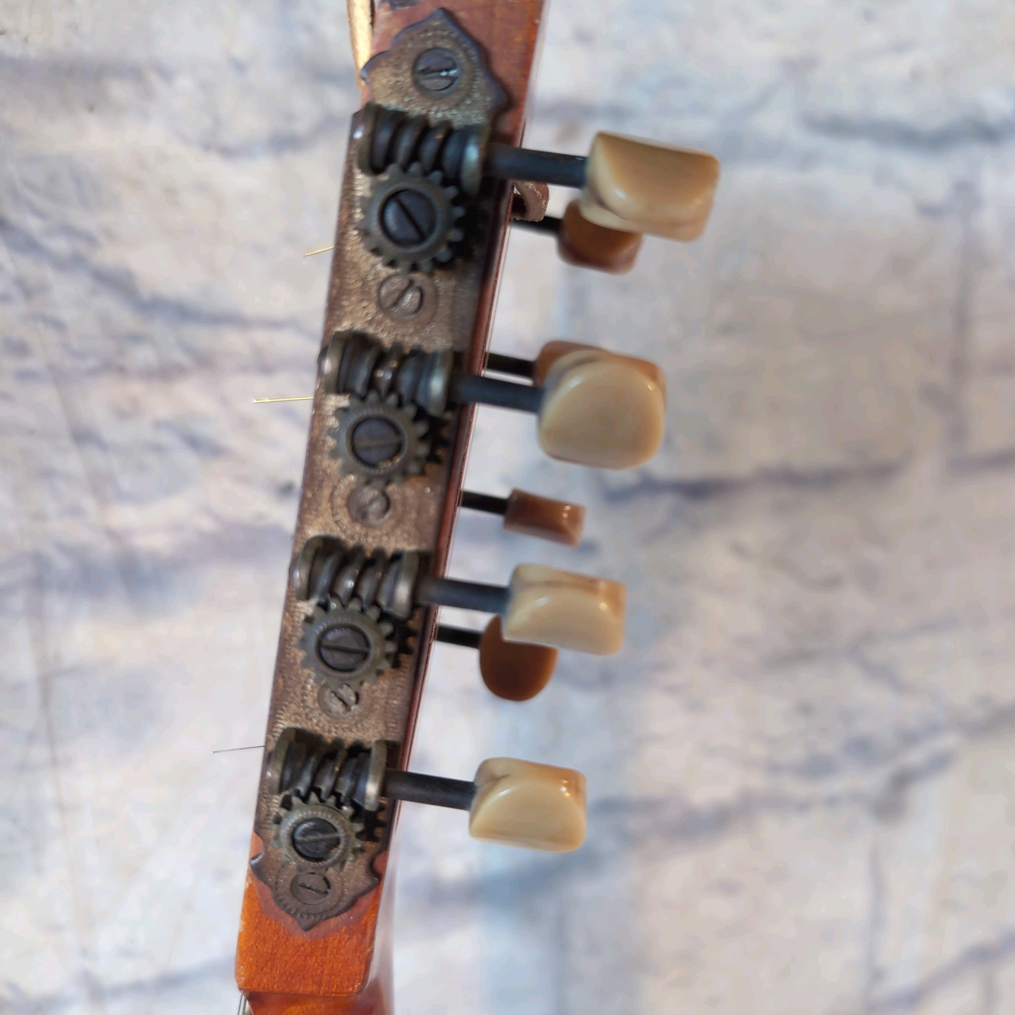 Antique Vintage Florentine Bowl Back Mandolin