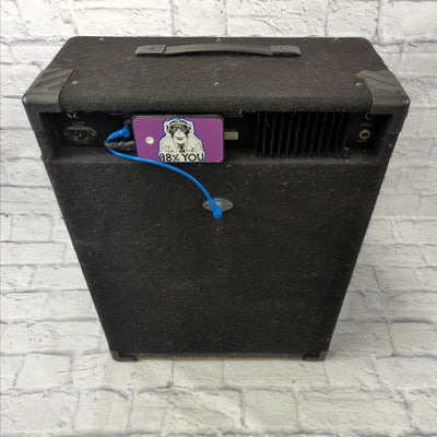 SWR Workingman 15 Bass Combo Amp