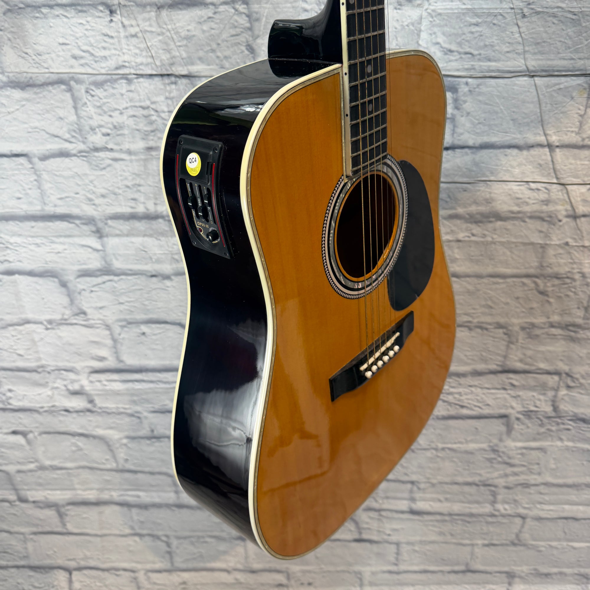 Esteban AS IS Acoustic Guitar AL-100 Acoustic Guitar