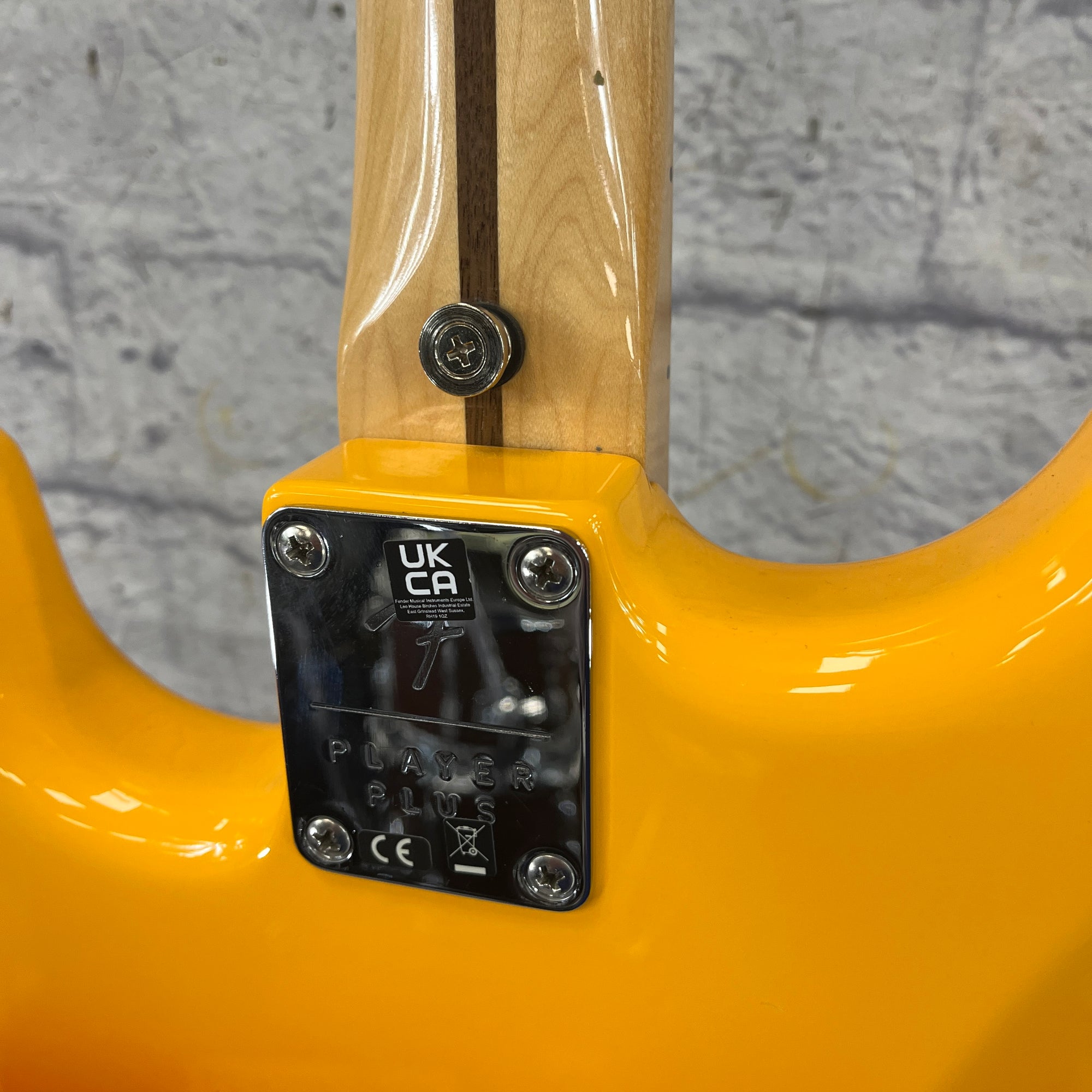 Fender Player Stratocaster Tequila Sunrise - Evolution Music