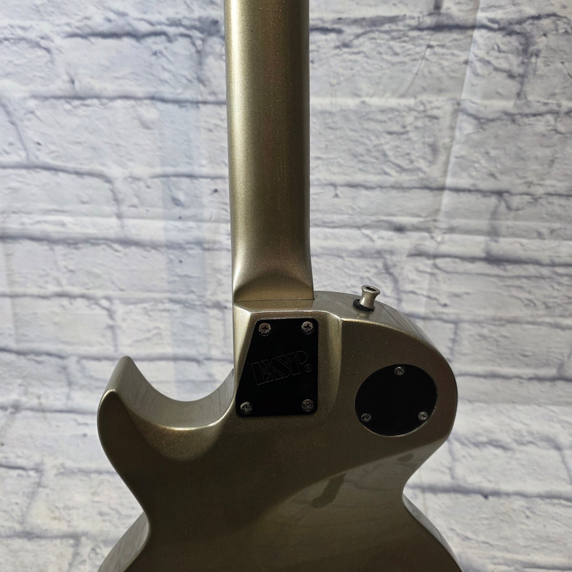 ESP LTD EC-50 Titanium Electric Guitar