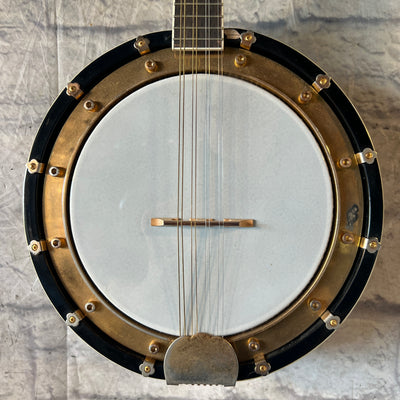 Rogue Banjolin Banjo - Mandolin Hybrid