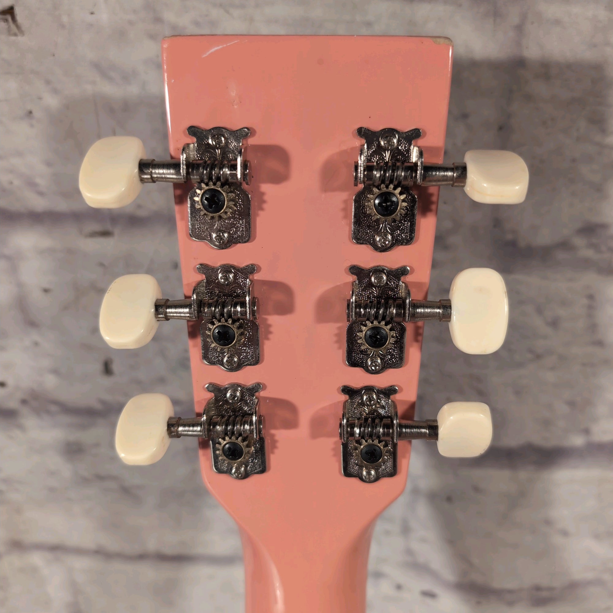 Rogue Pink Acoustic Guitar
