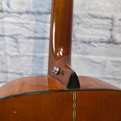 Fender Dreadnaught DG20s Nat Acoustic Guitar