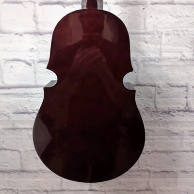 Don Pablo DP-4WB Cuatro w/Case