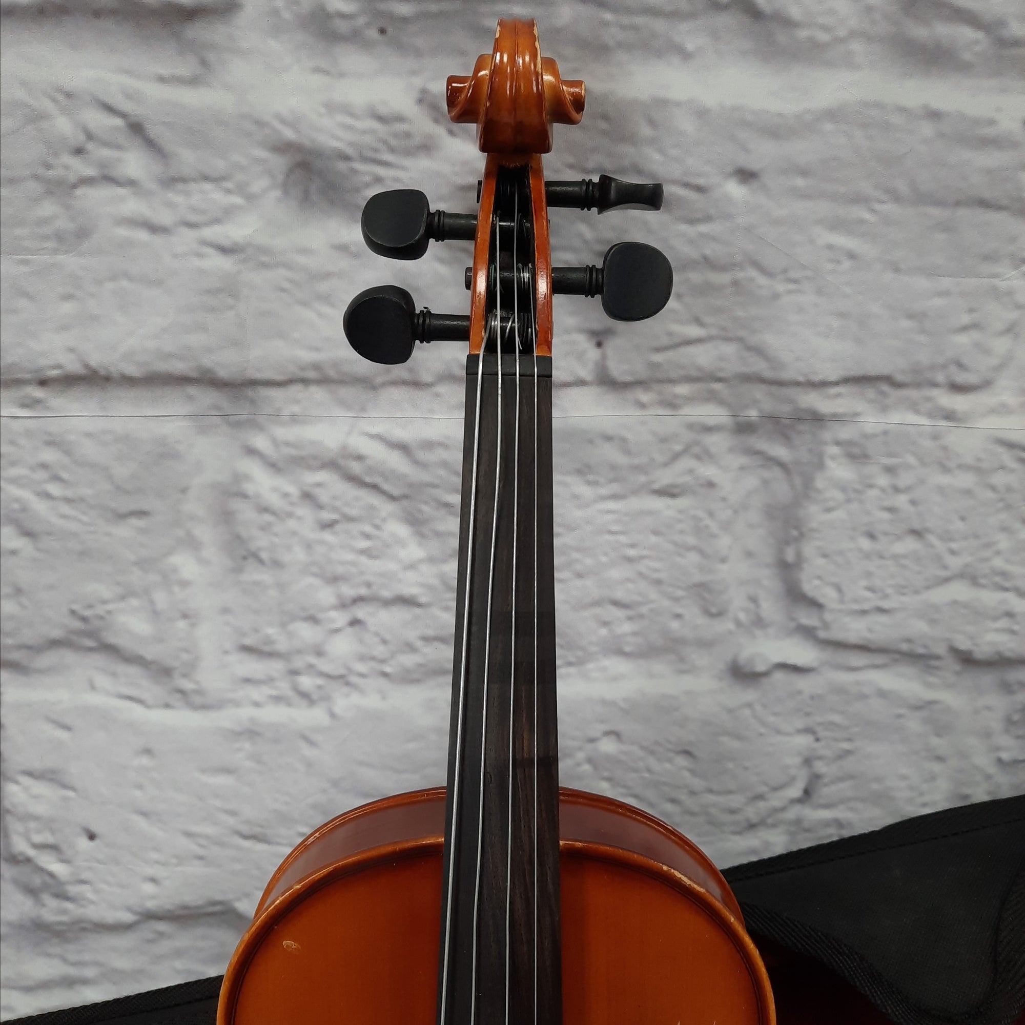 Ametto CA100 14" Viola - C24342 BEN TEETER HAS IT