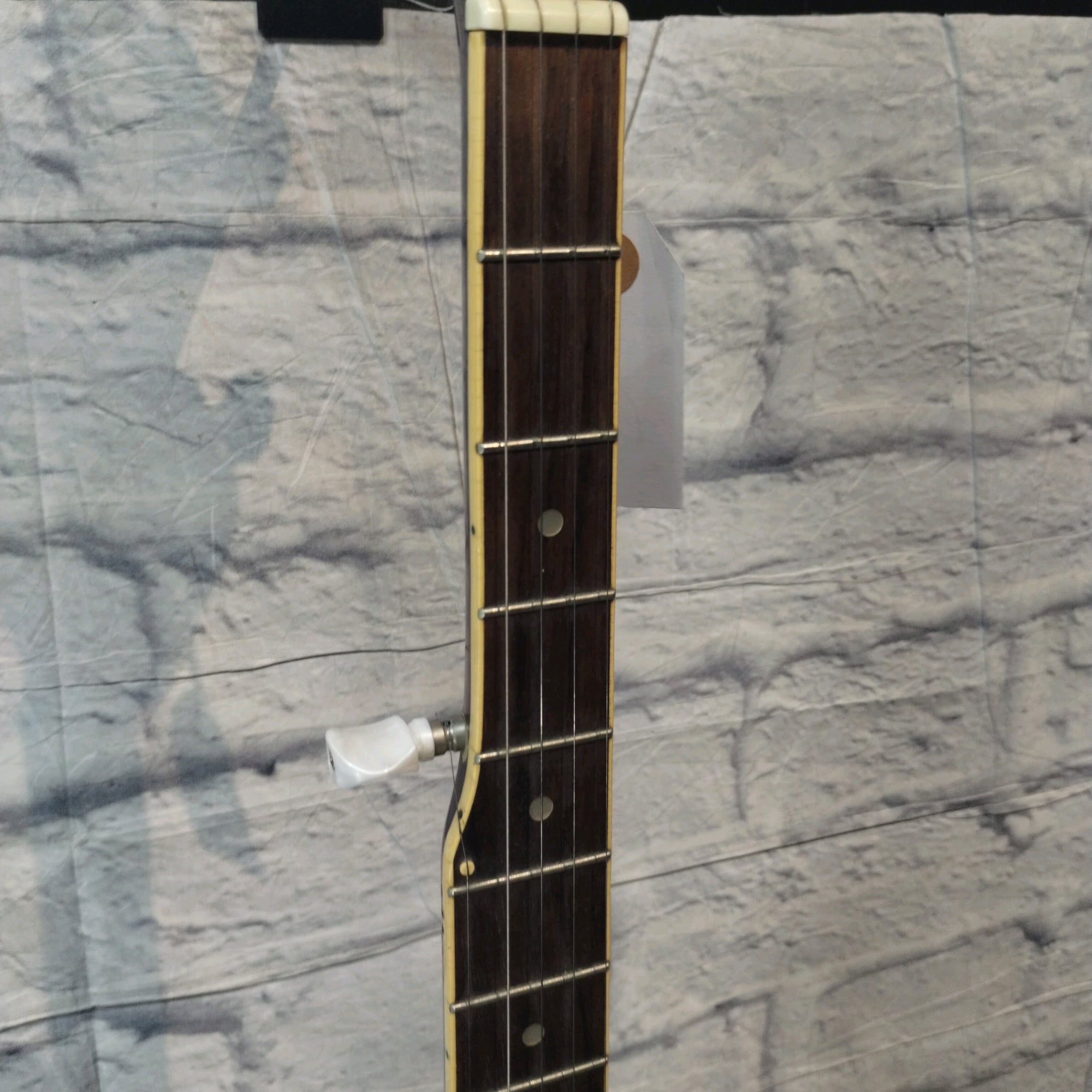 Vintage Antares ABJ-183 Banjo