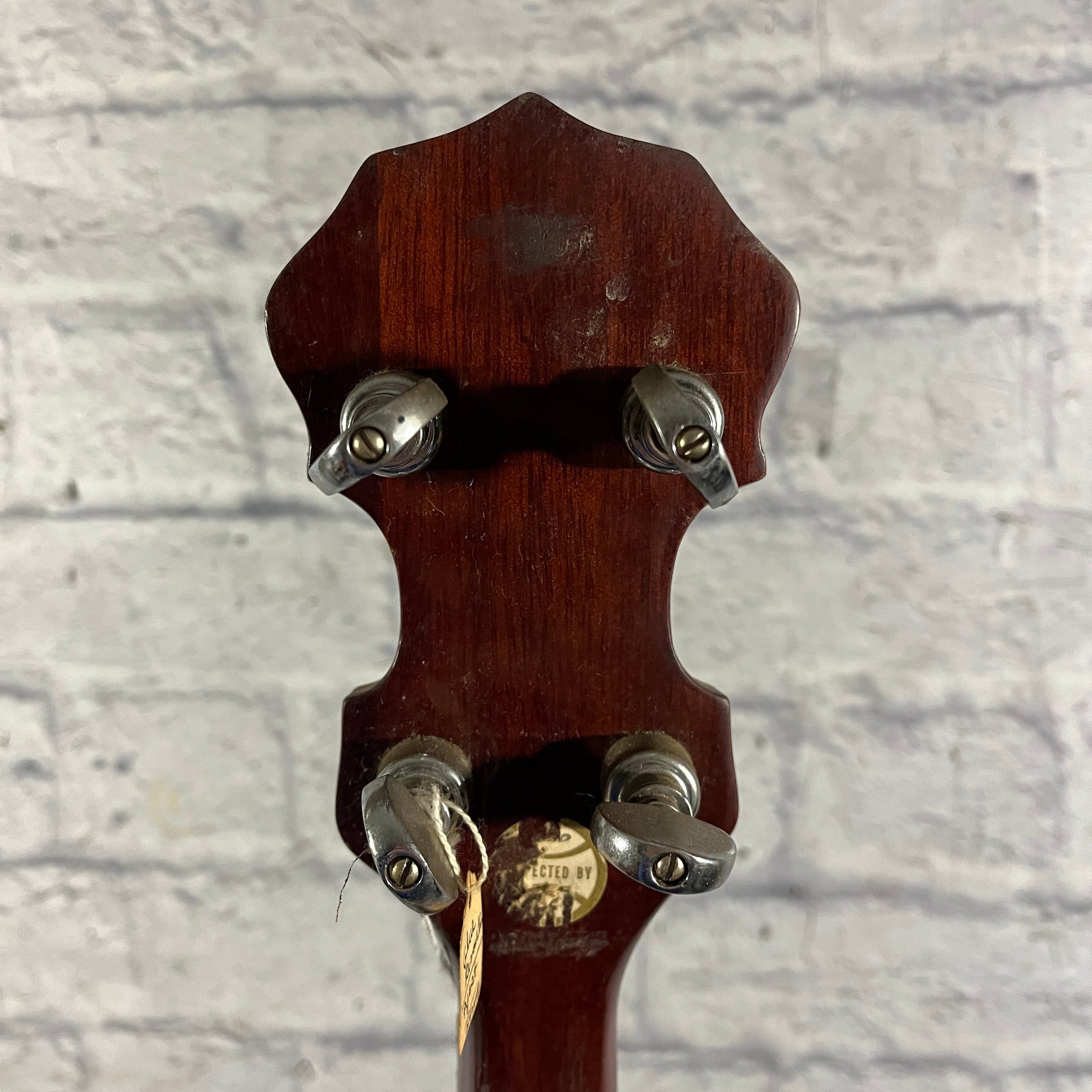 Vivi 5 String Banjo